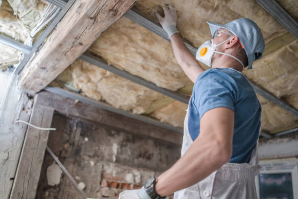 Best Fiberglass Insulation in Dagsboro, DE