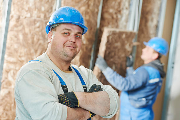 Best Insulation Maintenance and Repair in Dagsboro, DE
